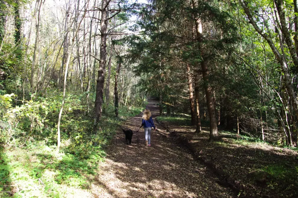 Blumen Camping La Rochelambert 4 Sterne★★★★