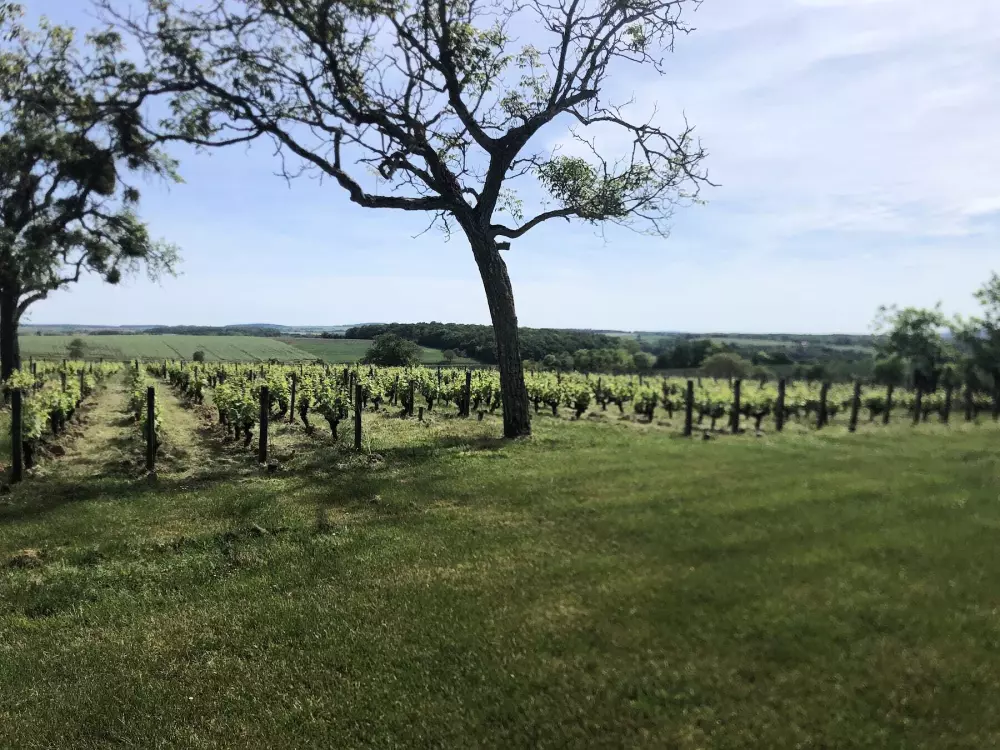 Jaskinia Nerot - Parcel Tiny House