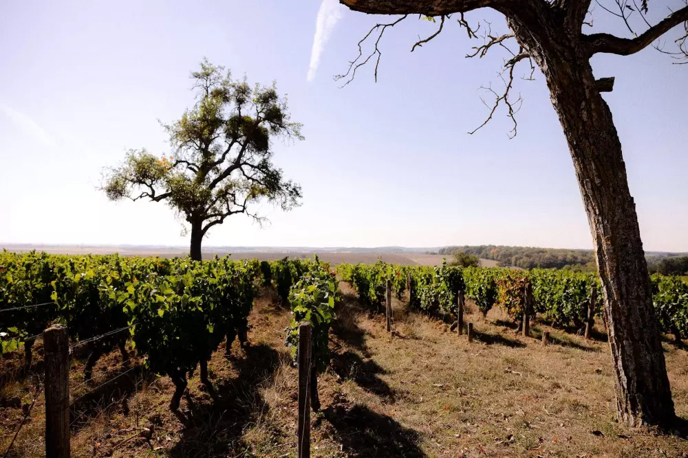 Jaskinia Nerot - Parcel Tiny House