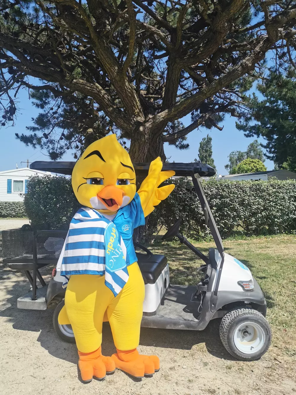 Camping Paradis Les Palmiers 3 Sterne★★★