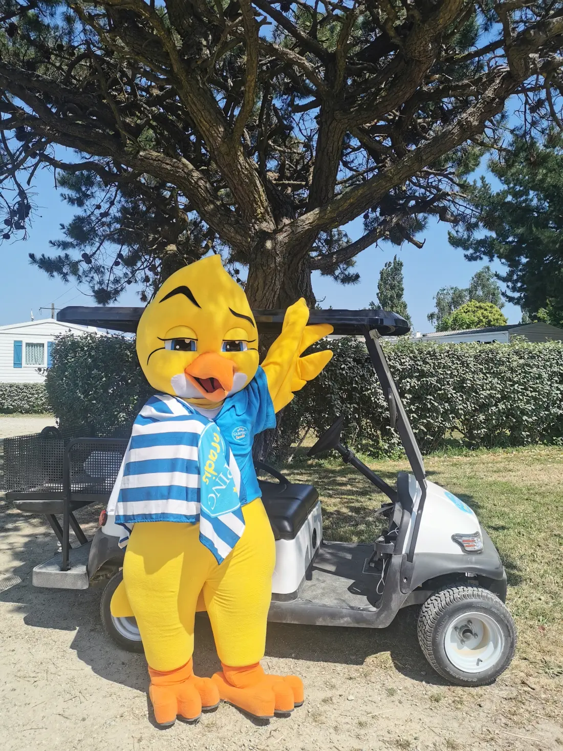 Camping Paradis Les Palmiers 3 Estrellas★★★