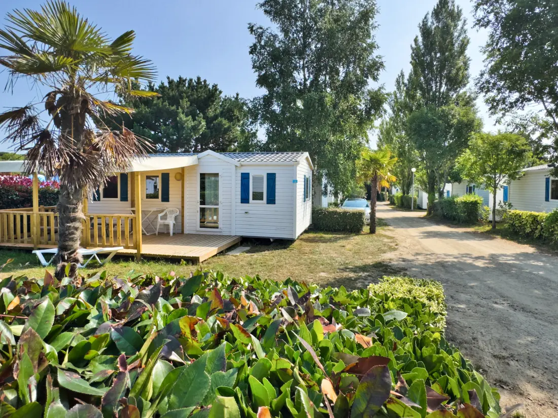 Camping Paradis Les Palmiers 3 Estrellas★★★