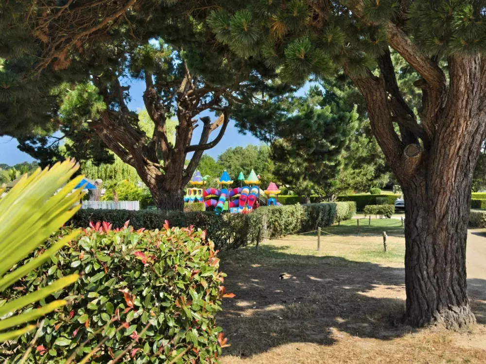 Camping Paradis Les Palmiers 3 Sterne★★★