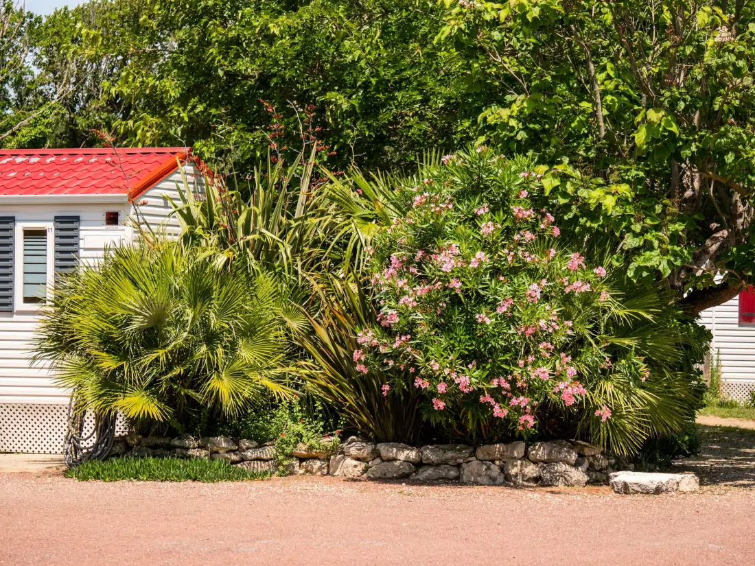 Campsite Les Cupressus 3 Csillagok★★★