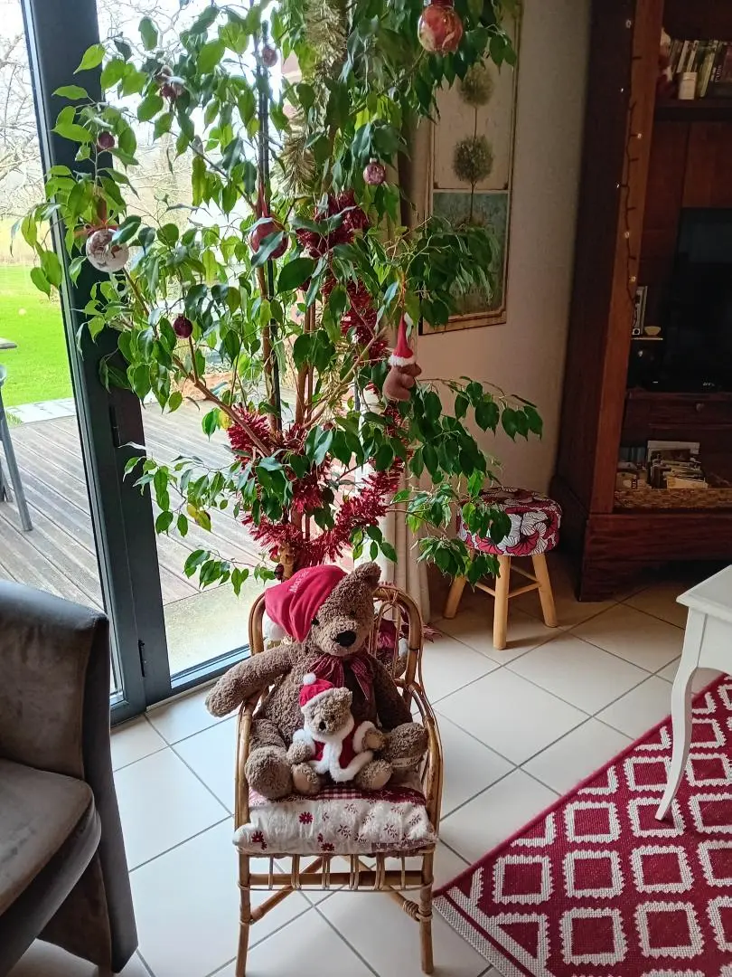 Gîte de France Gîtes de france® - au pas de l'ours 3 fül