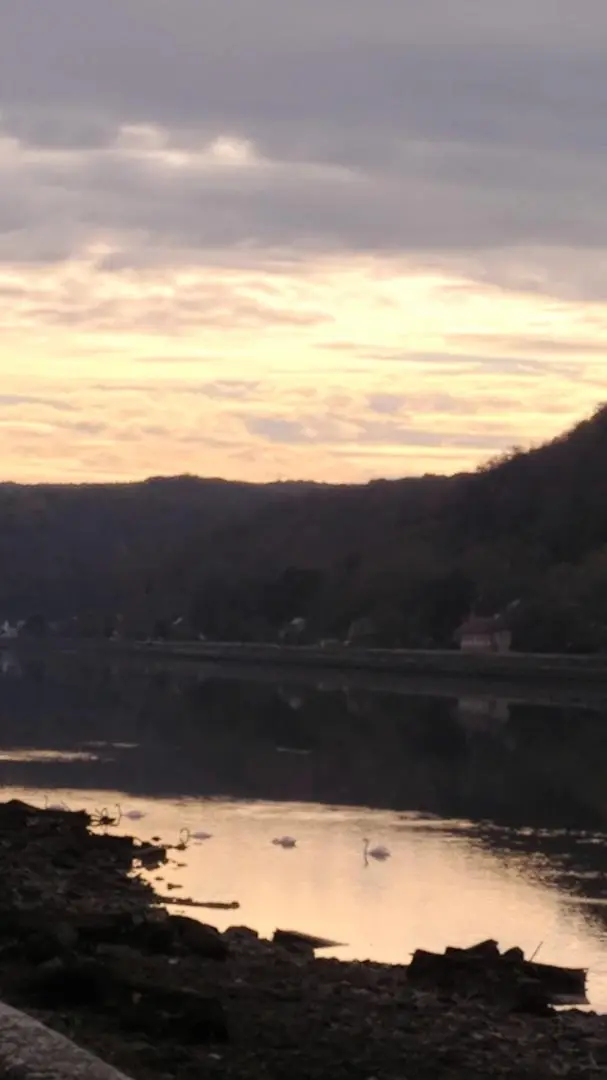 Gîte de France Gîtes de france® - a marsh 3 fülének háza