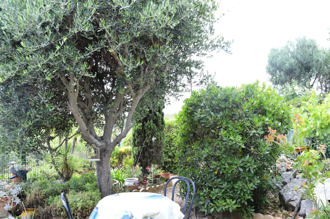 Residence Les Mas De La Garrigues