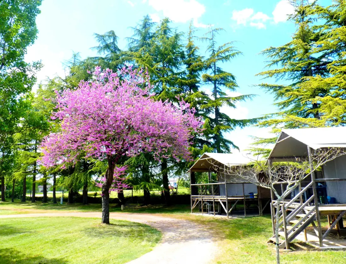 Campsite Quercy Holidays 3 Csillagok★★★