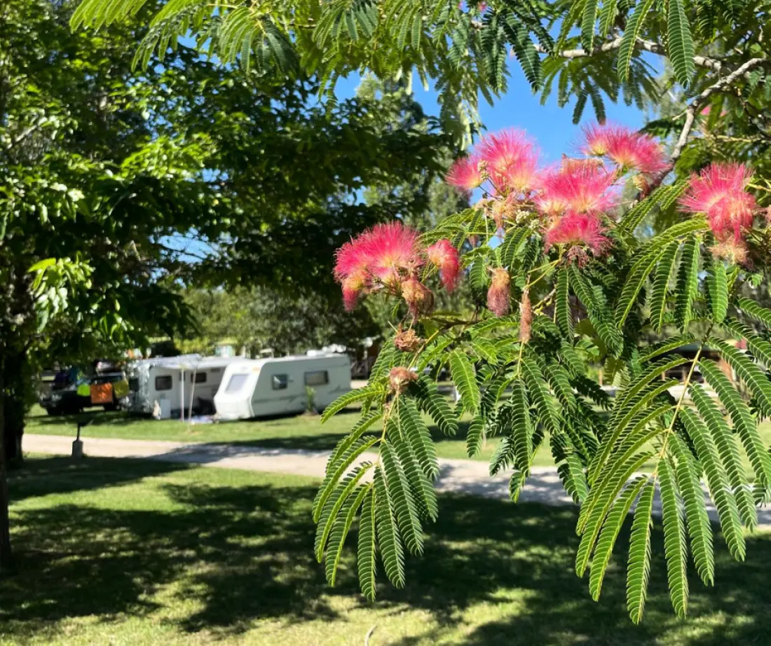 Campsite Quercy Holidays 3 Csillagok★★★