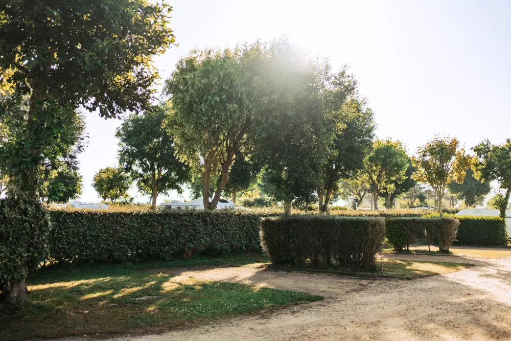 Campeggio Baie de Saint Pol E' il momento giusto.