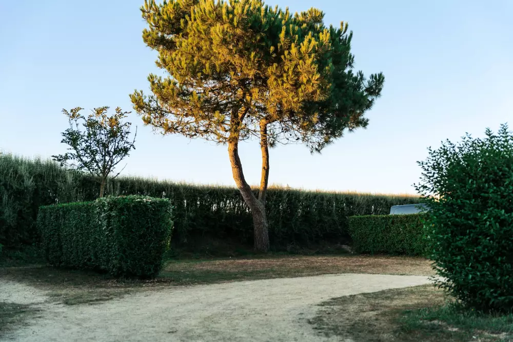 Campeggio Baie de Saint Pol E' il momento giusto.