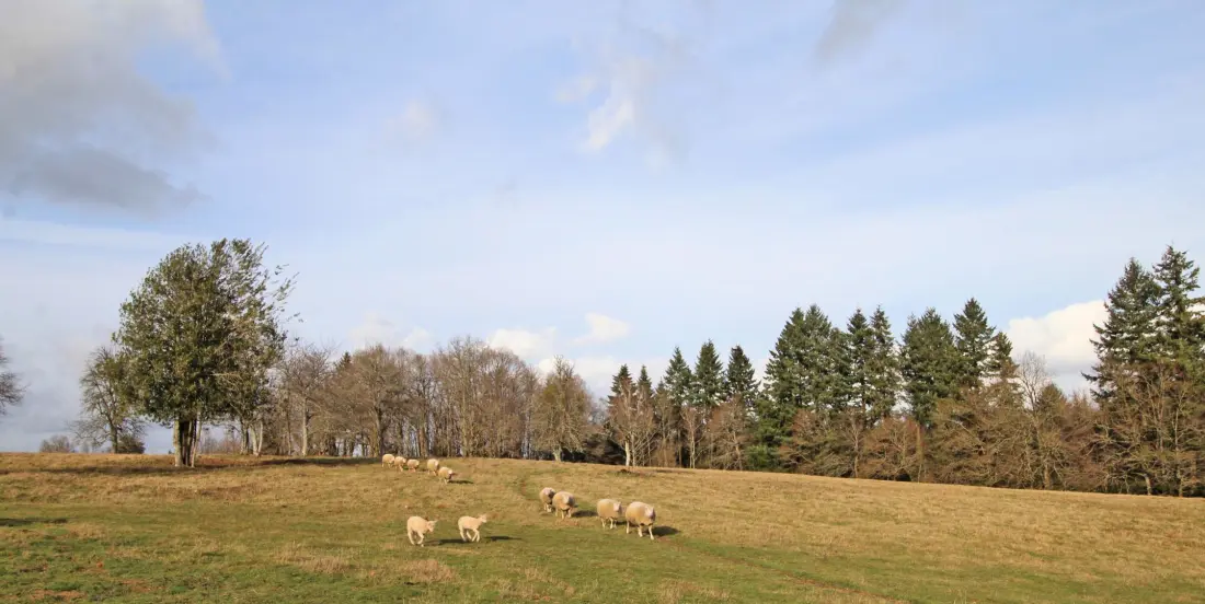 Gîte de France Het nieuwe huis met 4 oren