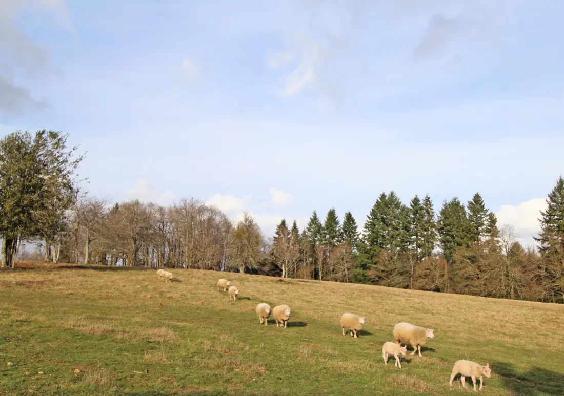 Gîte de France Het nieuwe huis met 4 oren