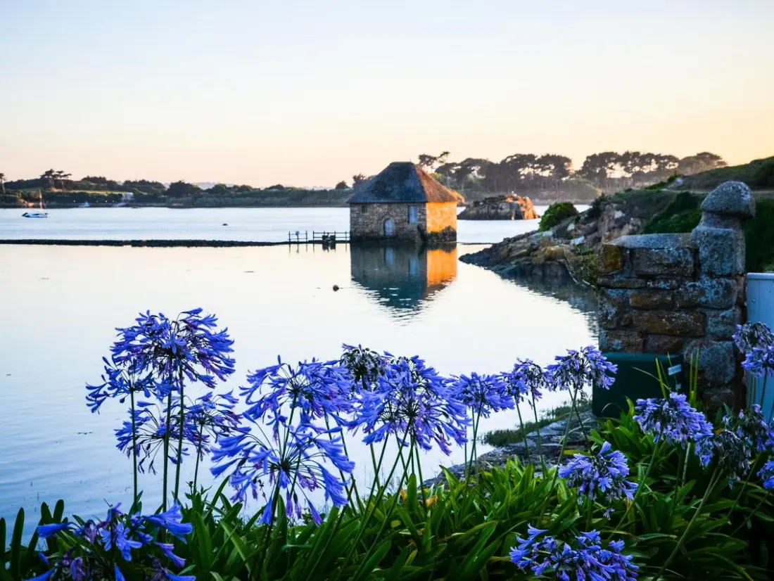 Gîte de France Ker-nath 3 Ähren