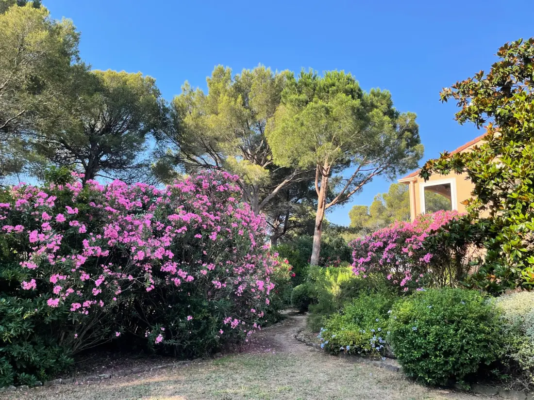 Apartmanok Saint-Raphaël