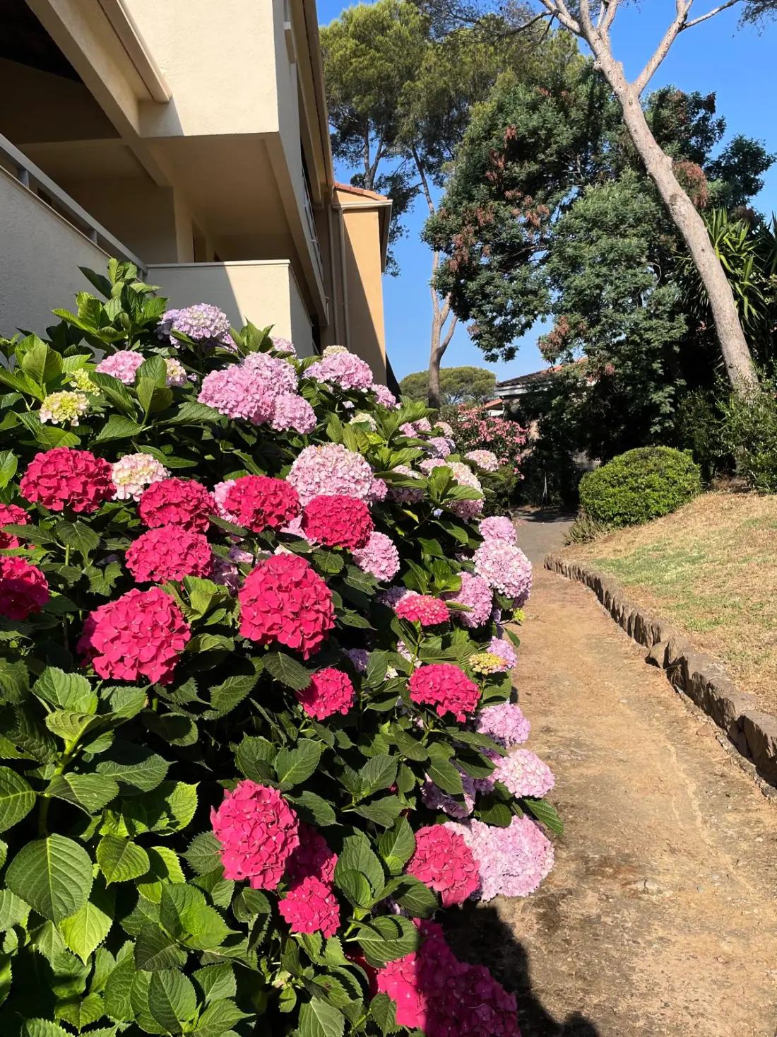 Apartmanok Saint-Raphaël
