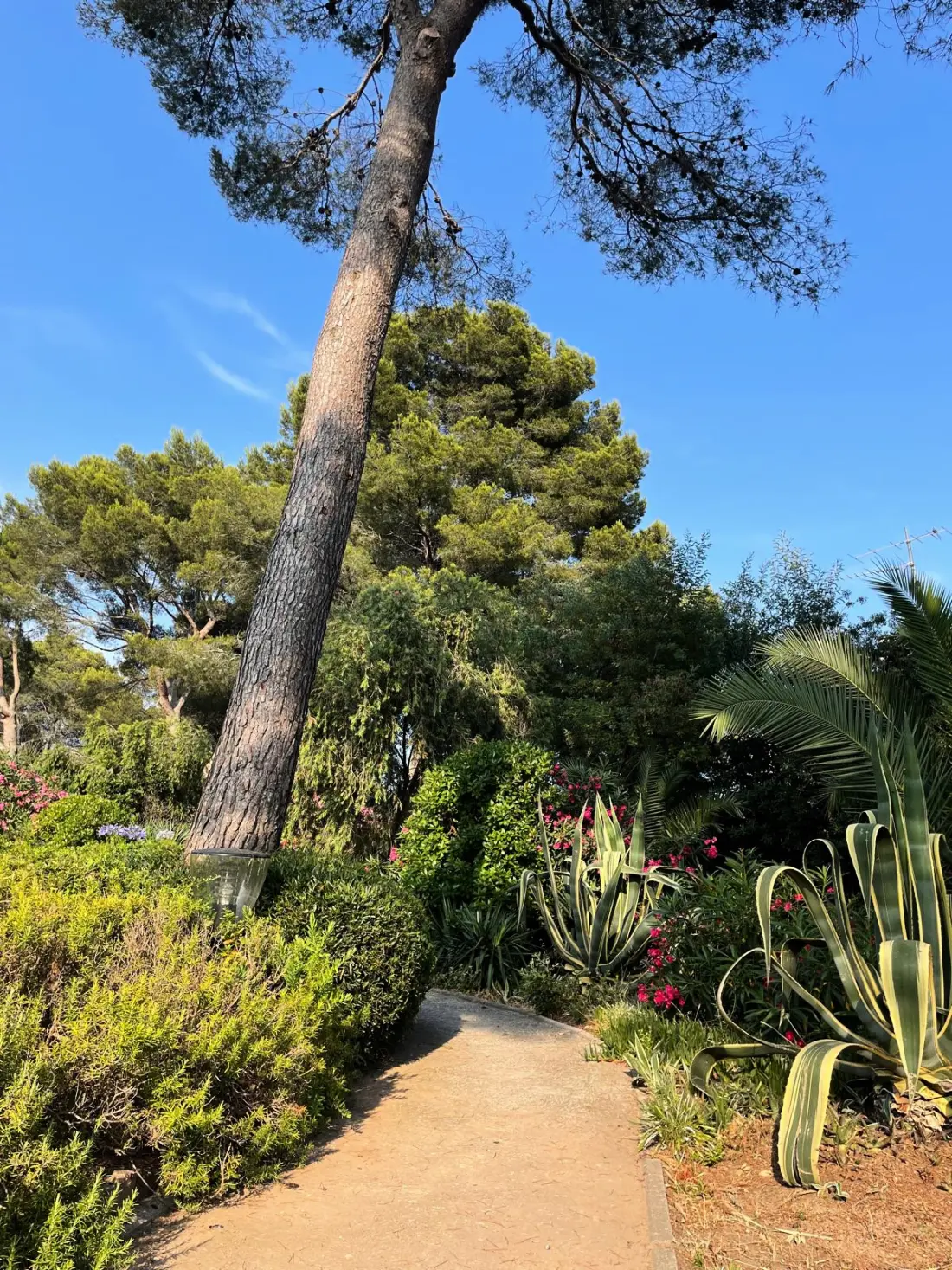 Apartmanok Saint-Raphaël