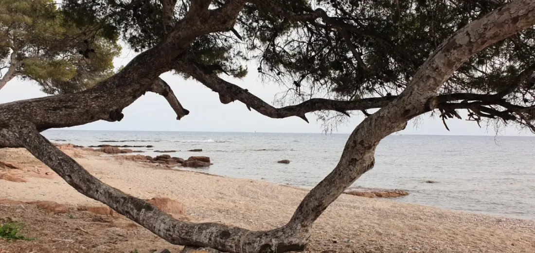 Gyönyörű lakás terasz - Saint-raphaël