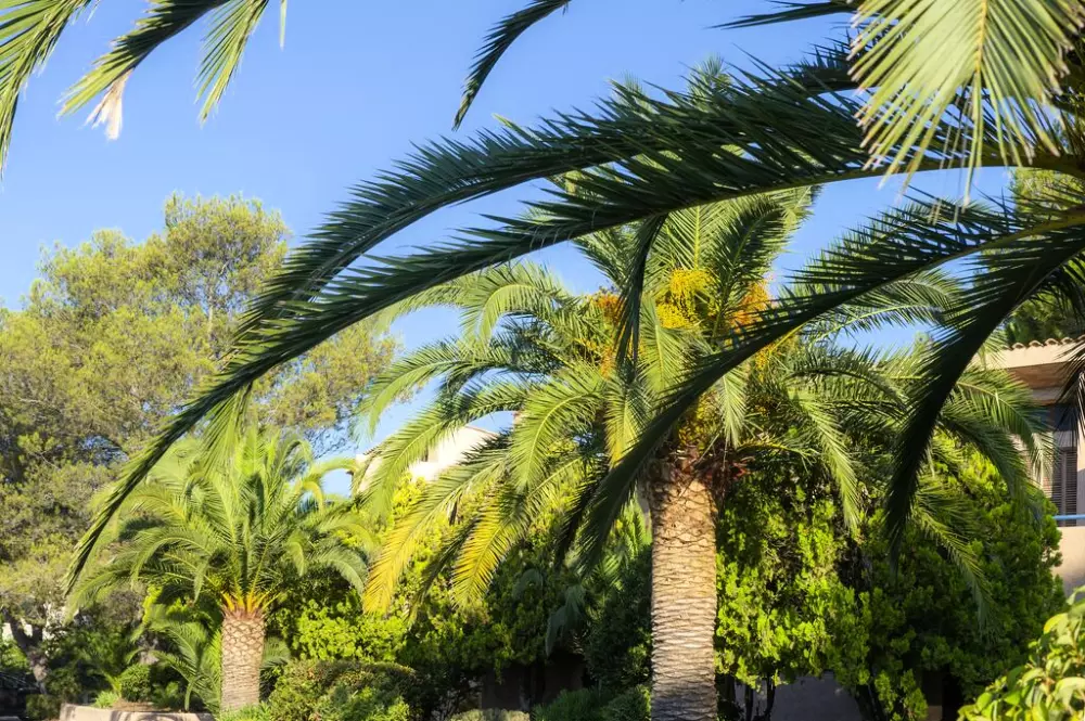 Rezydencja Goélia Les Jardins d'Azur