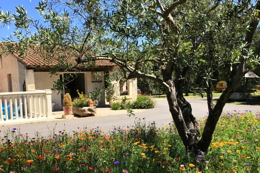 Campsite maeva Getaway Pegomas