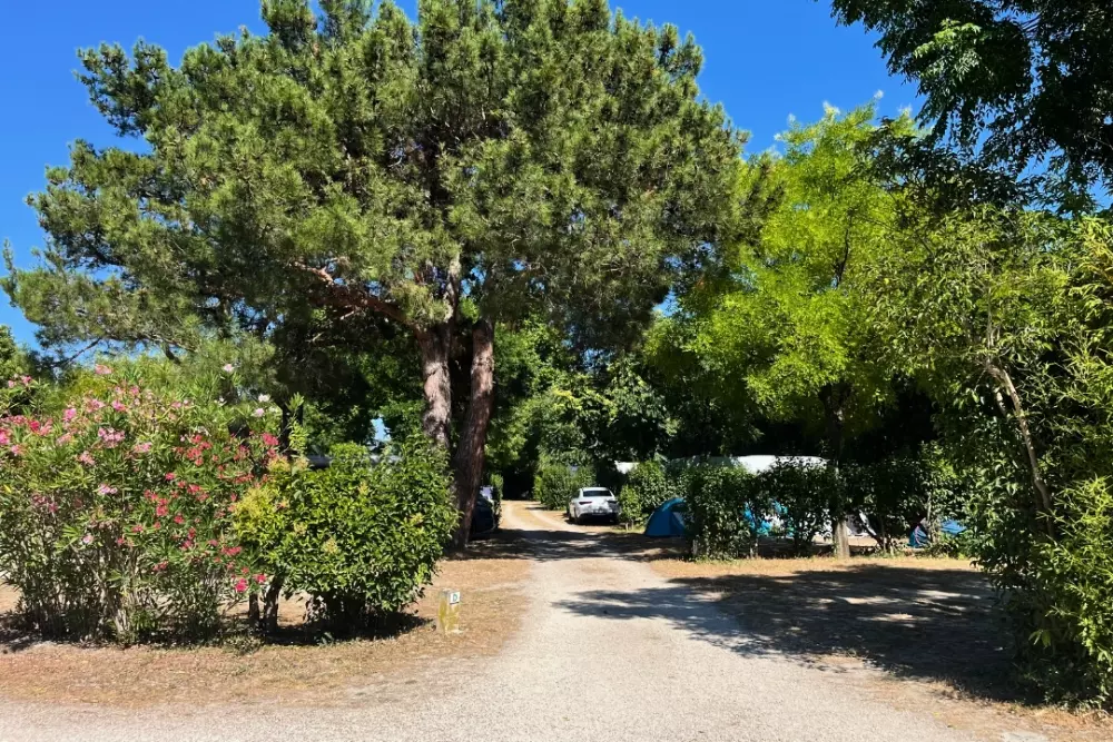 Campsite maeva Getaway Pegomas