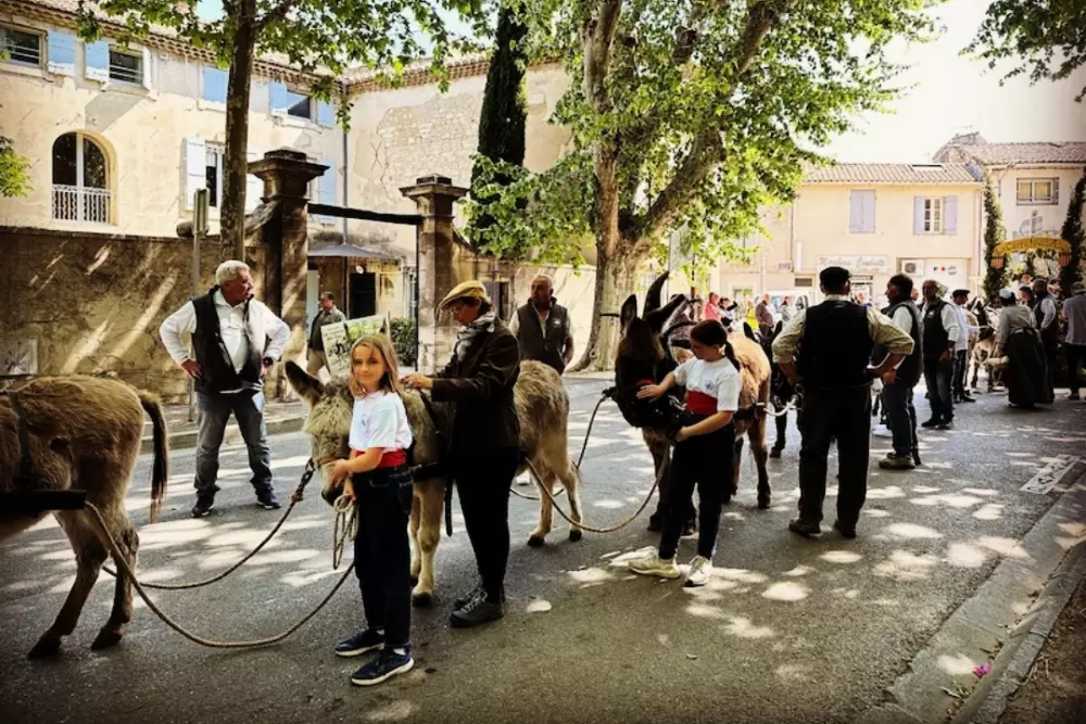 Campsite maeva Getaway Pegomas