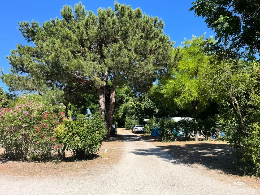 Campsite maeva Getaways Pegomas 3 Csillagok★★★