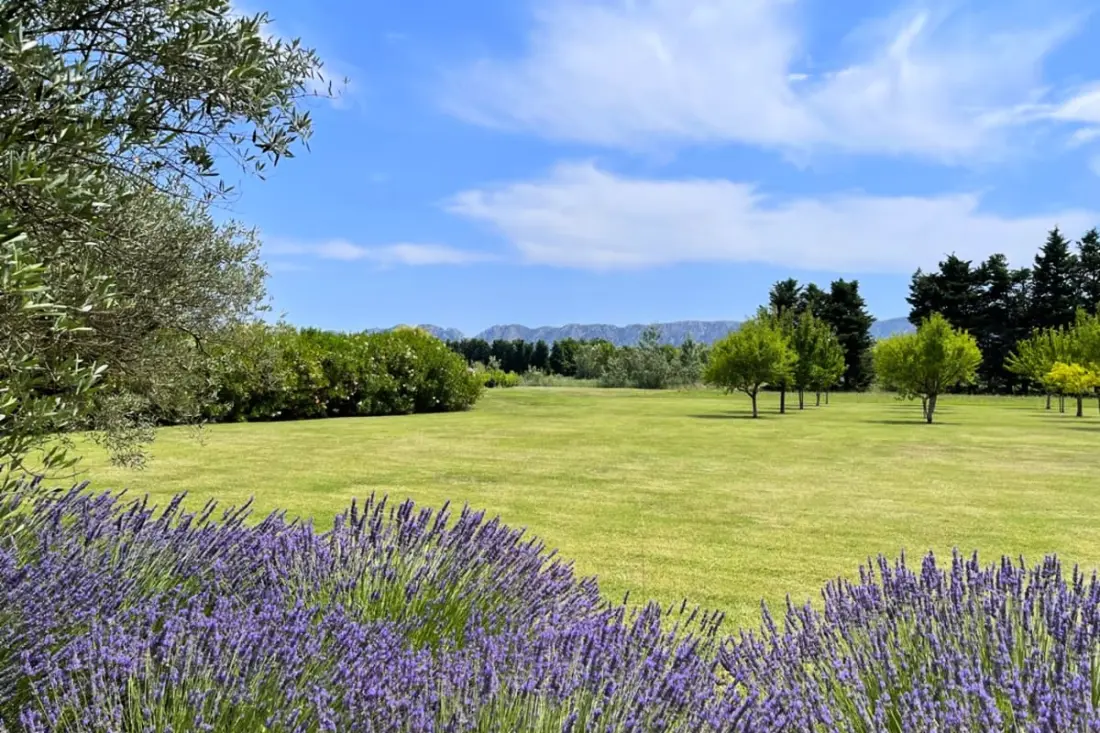 Mas De Panière - Saint Remy De Provence