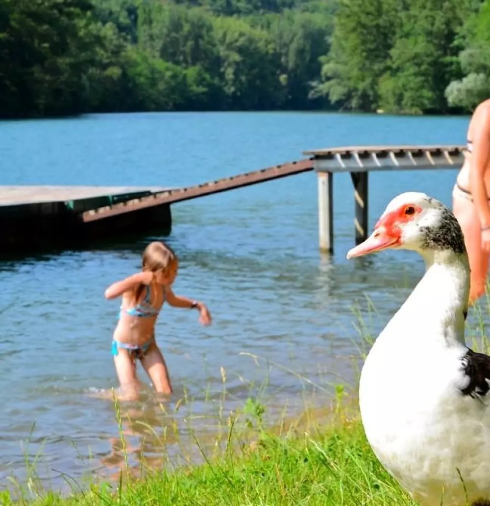 Camping de la Cascade 4 Sterne★★★★