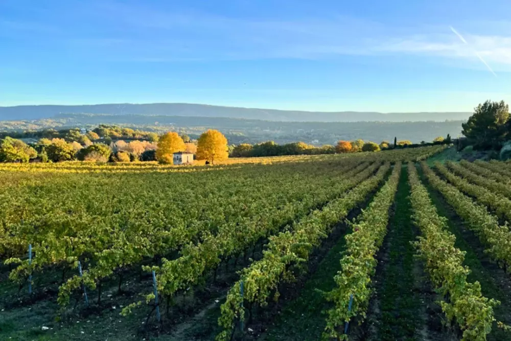 Camping maeva Escapades Le Domaine des Chênes Blancs 3 Stjerner★★★