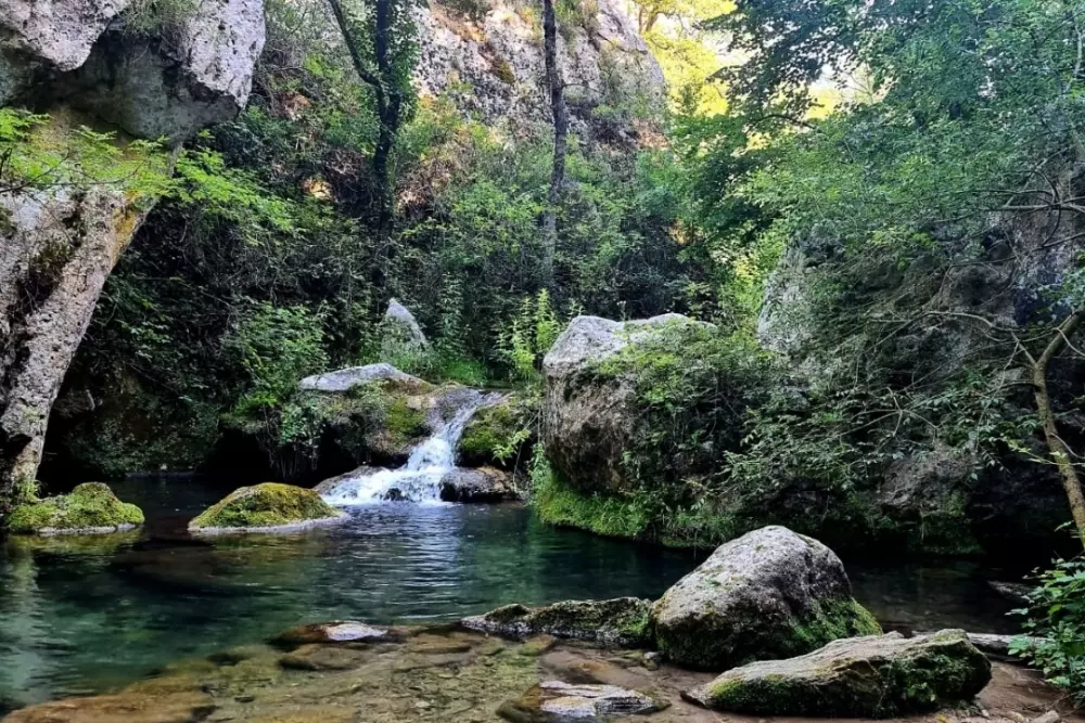 Camping maeva Escapades Le Domaine des Chênes Blancs 3 Stjerner★★★