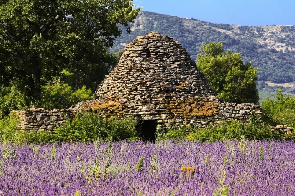 Camping maeva Escapades Le Domaine des Chênes Blancs 3 Stjerner★★★