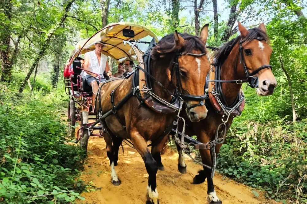 Camping maeva Escapades Le Domaine des Chênes Blancs 3 Stjerner★★★