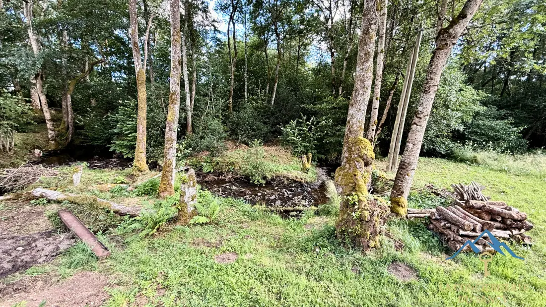 Ház Saint Sauves Auvergne