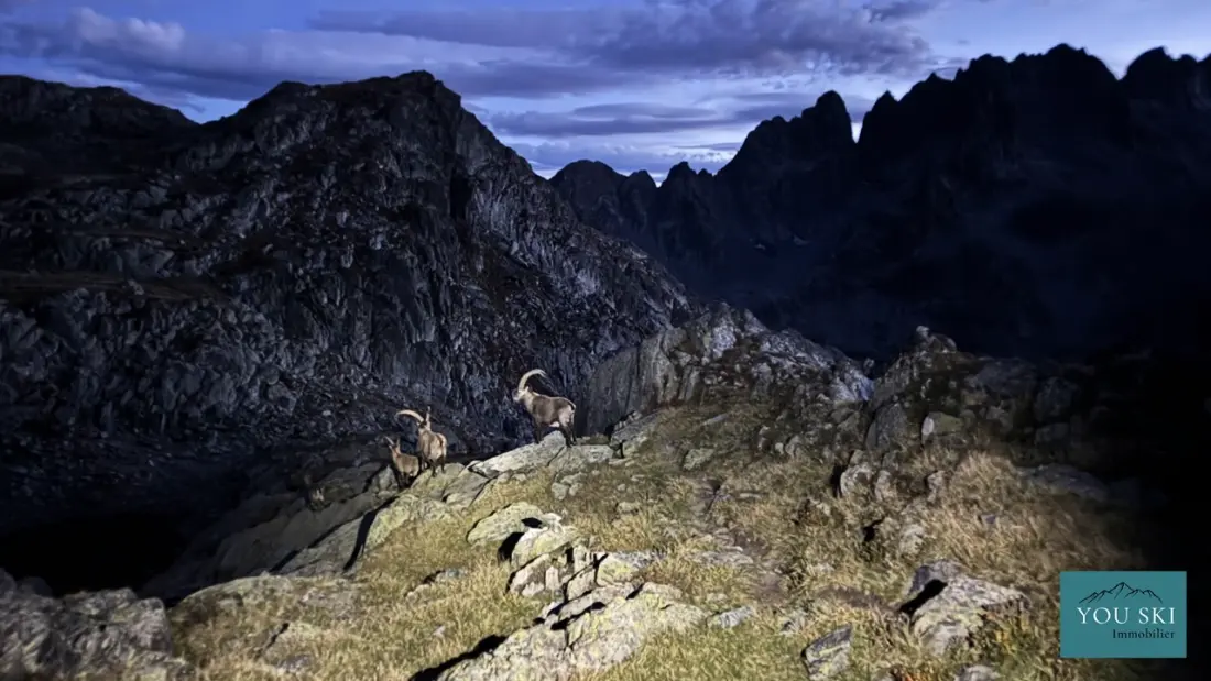 Le Chamois rezidenciája