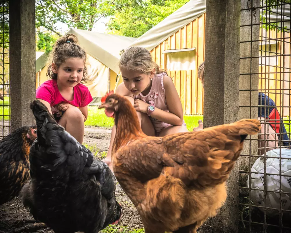 Camping Le Village du Port 41 Sterren★