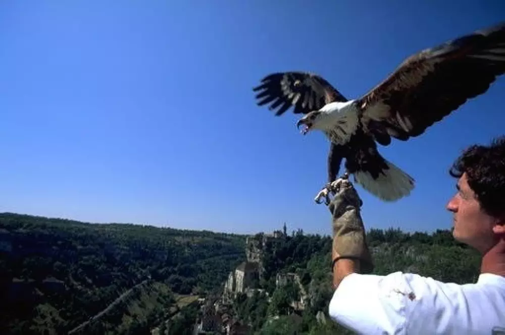 Campingplatz Le Village du Port 4 Sterne★★★★