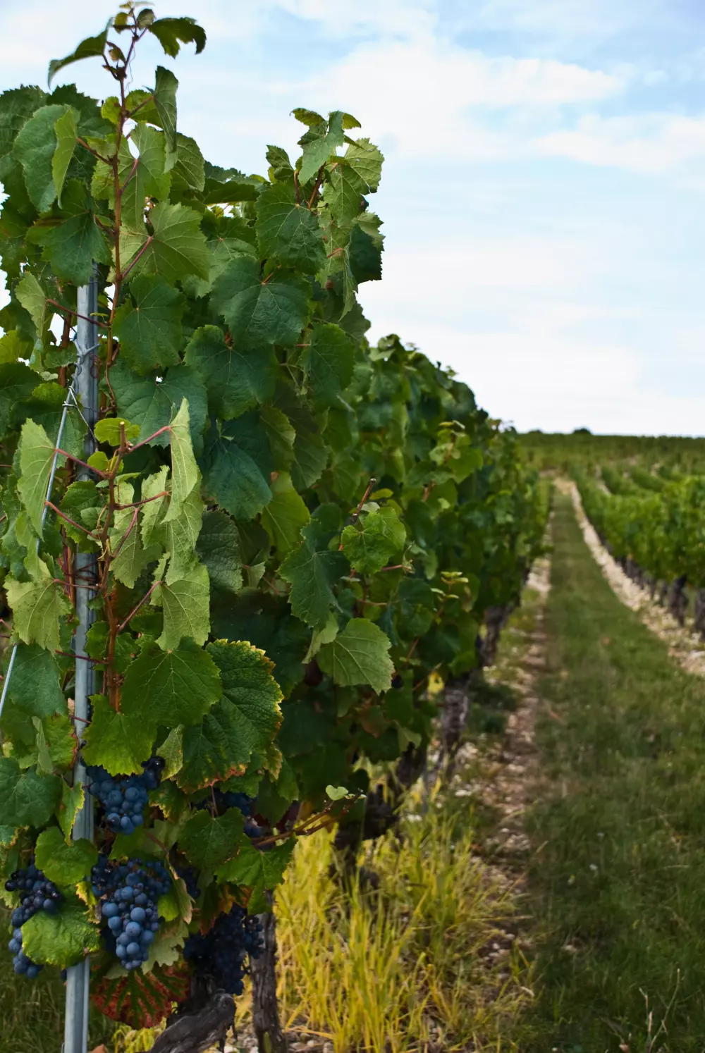 Campingplatz Le Village du Port 4 Sterne★★★★