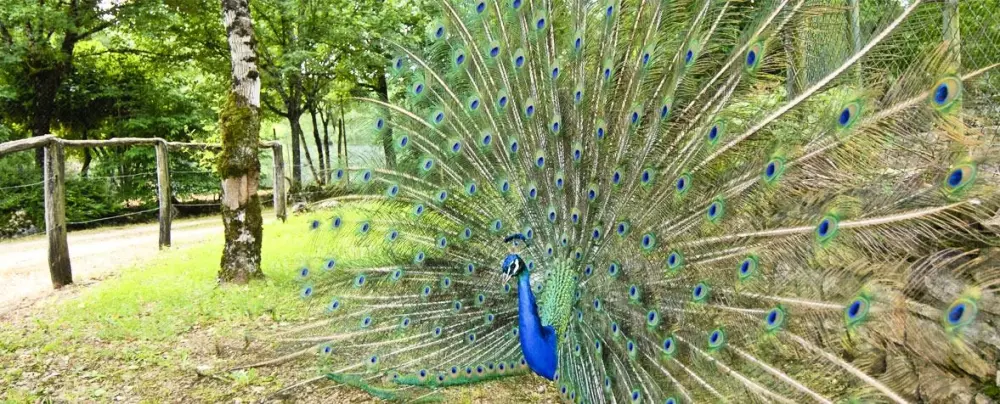 Campingplatz Le Village du Port 4 Sterne★★★★