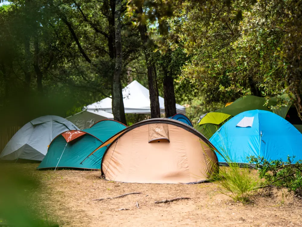 Camping de flores Monplaisir 4 Estrellas★★★★