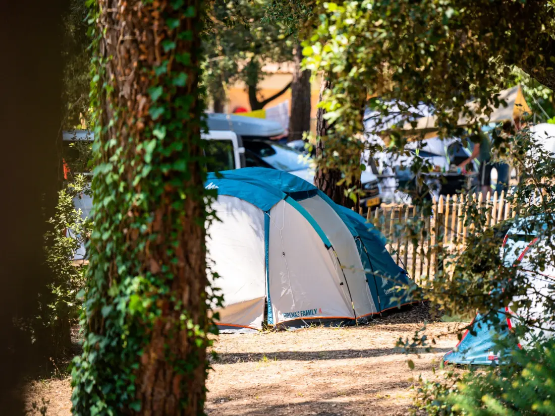 Camping de flores Monplaisir 4 Estrellas★★★★