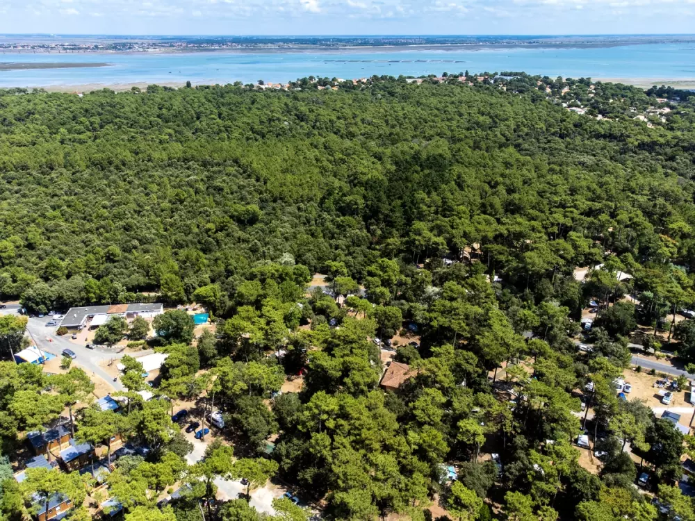 Camping de flores Monplaisir 4 Estrellas★★★★