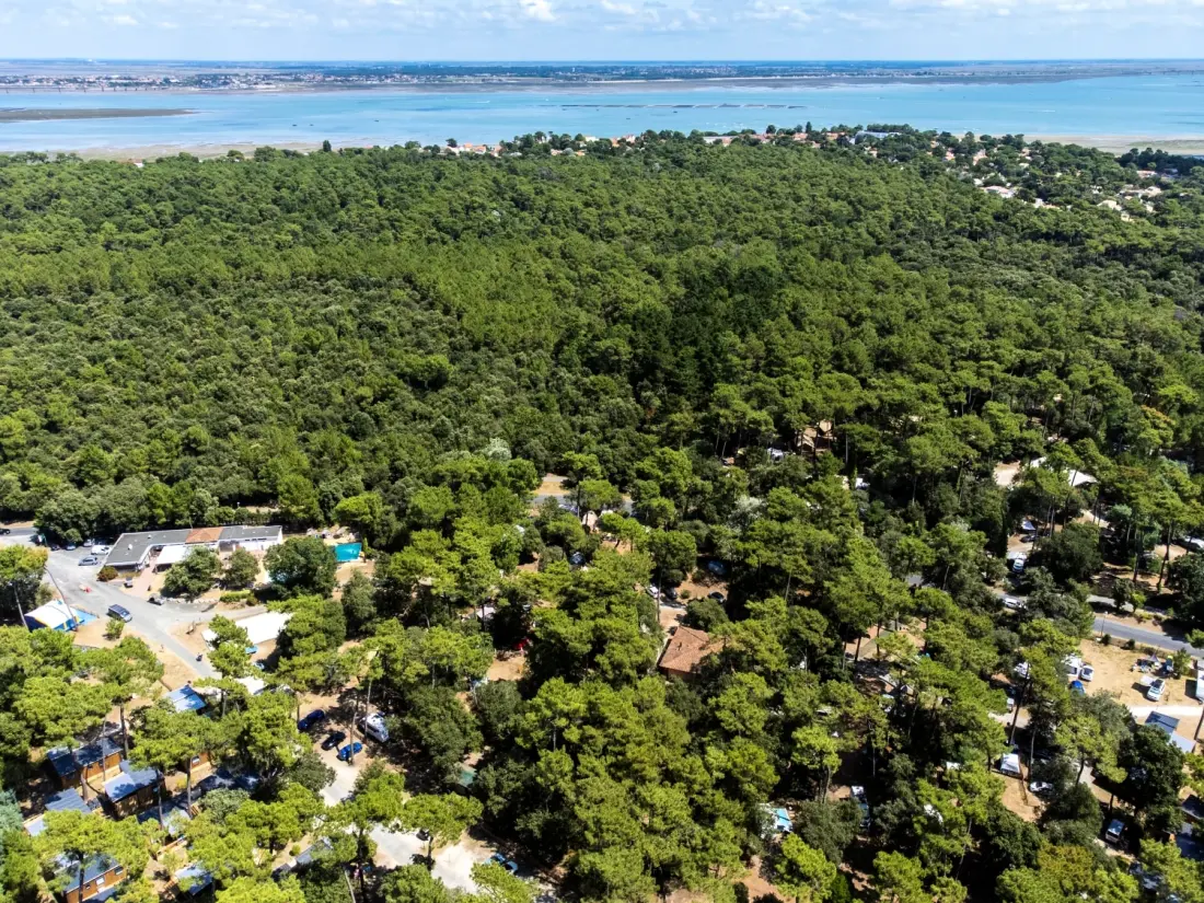Camping de flores Monplaisir 4 Estrellas★★★★