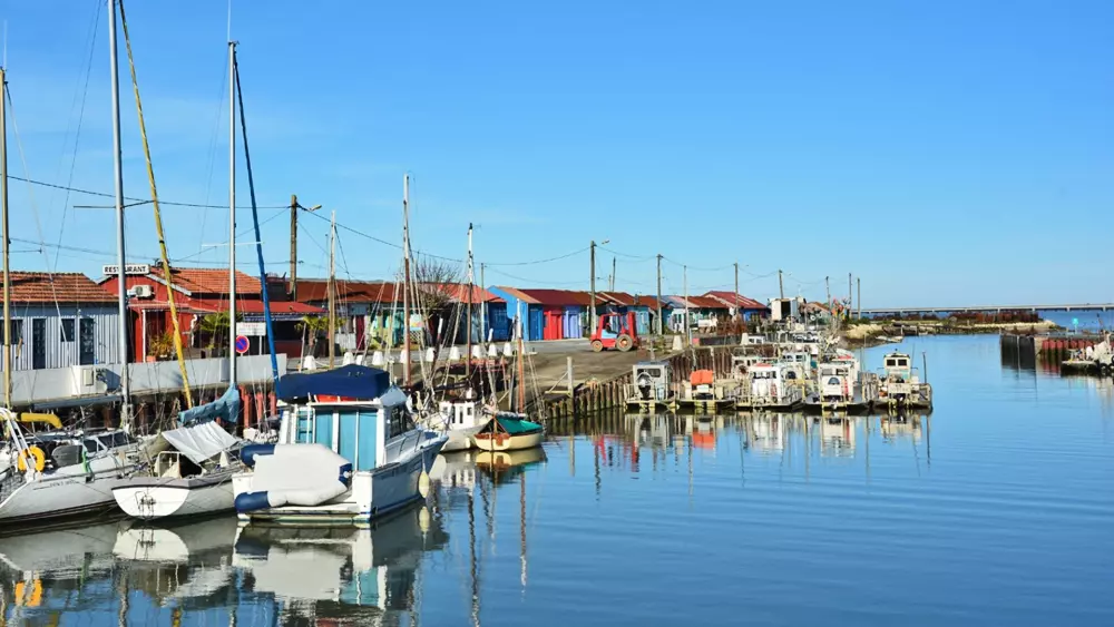 Camping de flores Monplaisir 4 Estrellas★★★★