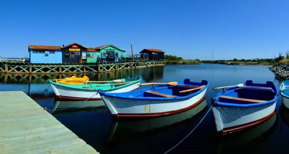 Camping de flores Monplaisir 4 Estrellas★★★★