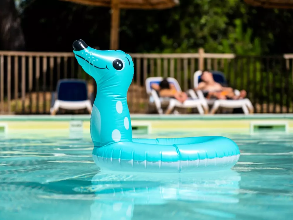 Camping de flores Monplaisir 4 Estrellas★★★★