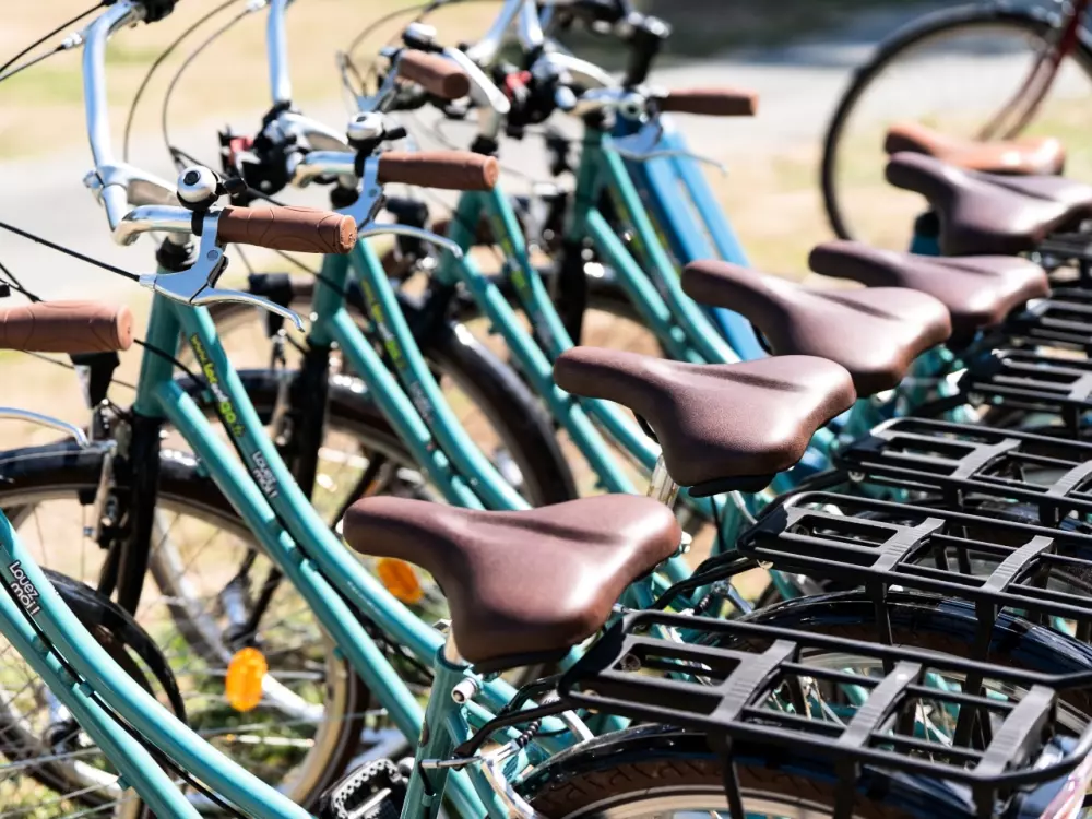 Camping de flores Monplaisir 4 Estrellas★★★★