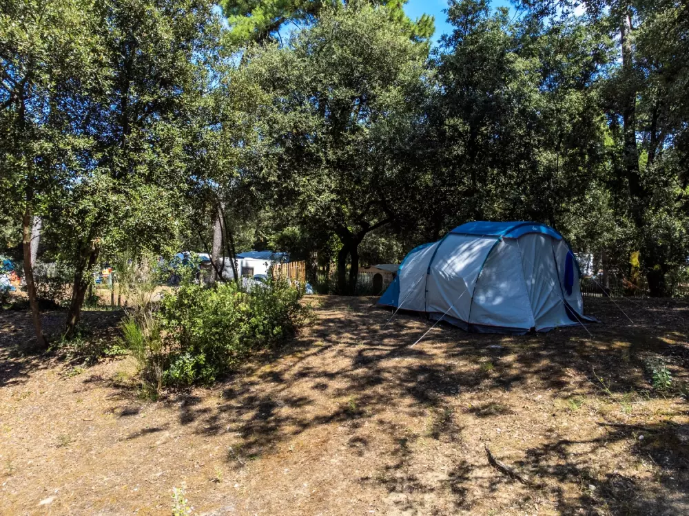 Camping de flores Monplaisir 4 Estrellas★★★★