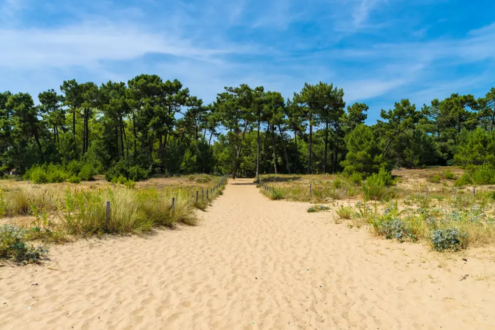 Camping de flores Monplaisir 4 Estrellas★★★★