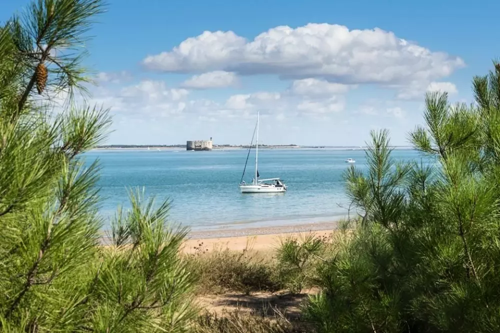 Camping de flores Monplaisir 4 Estrellas★★★★